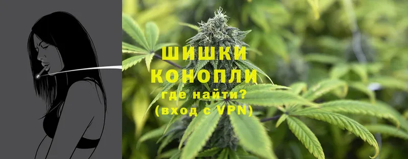 как найти наркотики  Ивангород  Канабис VHQ 